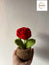 CROCHET ROSE POT